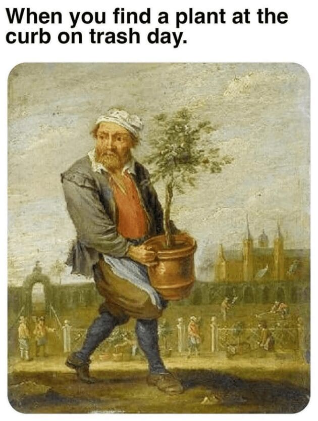 A classical oil painting of a peasant man walking briskly across a courtyard while clutching a large potted plant, paired with text about claiming free curb plants on trash day in an old memes art style.