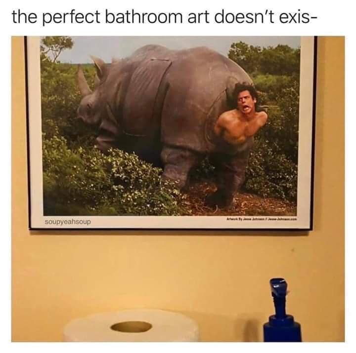 Classic meme showing framed wall art in a bathroom depicting Jim Carrey bursting out of a mechanical rhino's rear end from Ace Ventura: When Nature Calls.