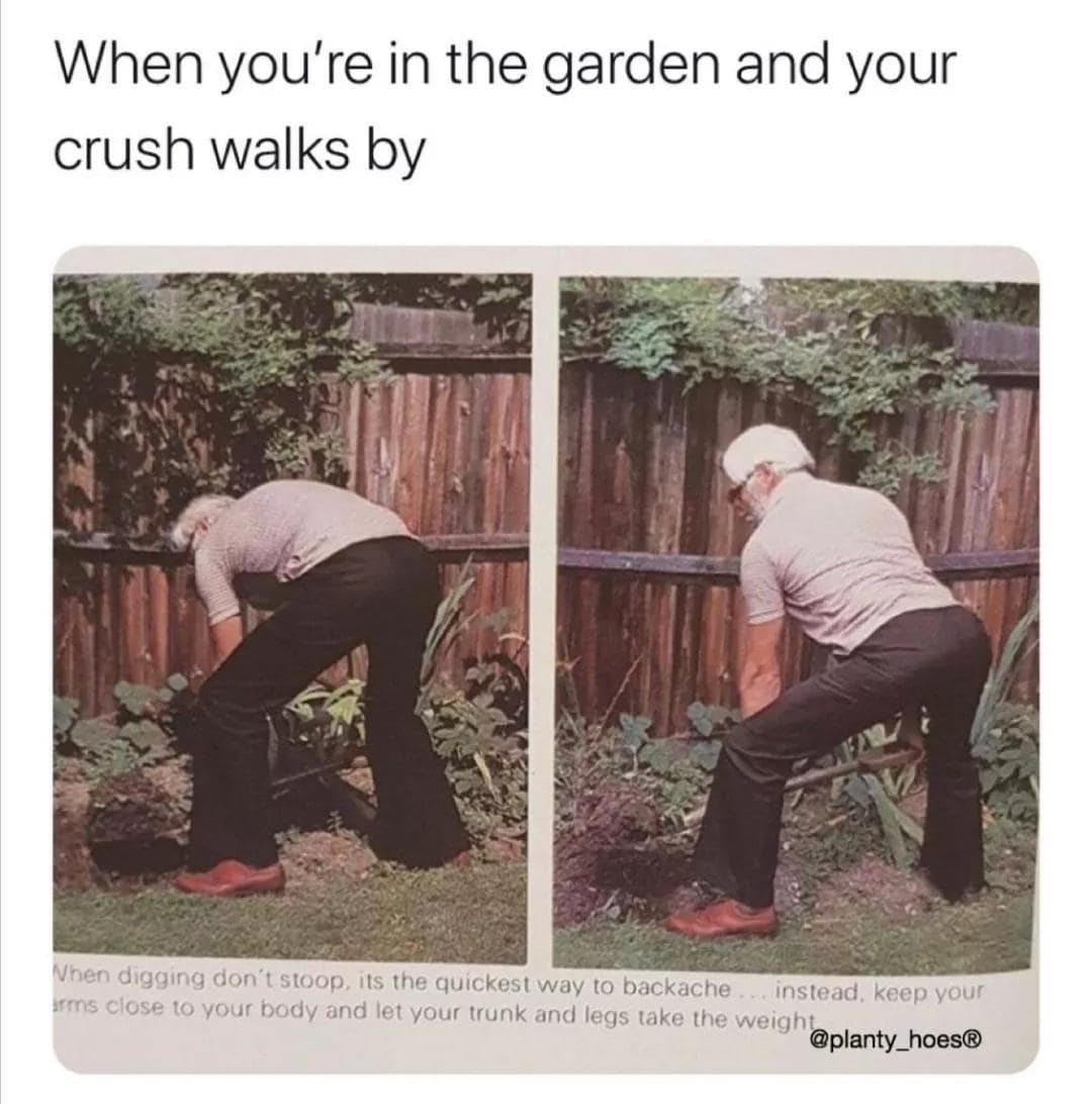 Hilarious posture guide photo used as a classic meme showing an old man sticking out his hips into a dramatic squat while digging in a garden when his crush walks past.