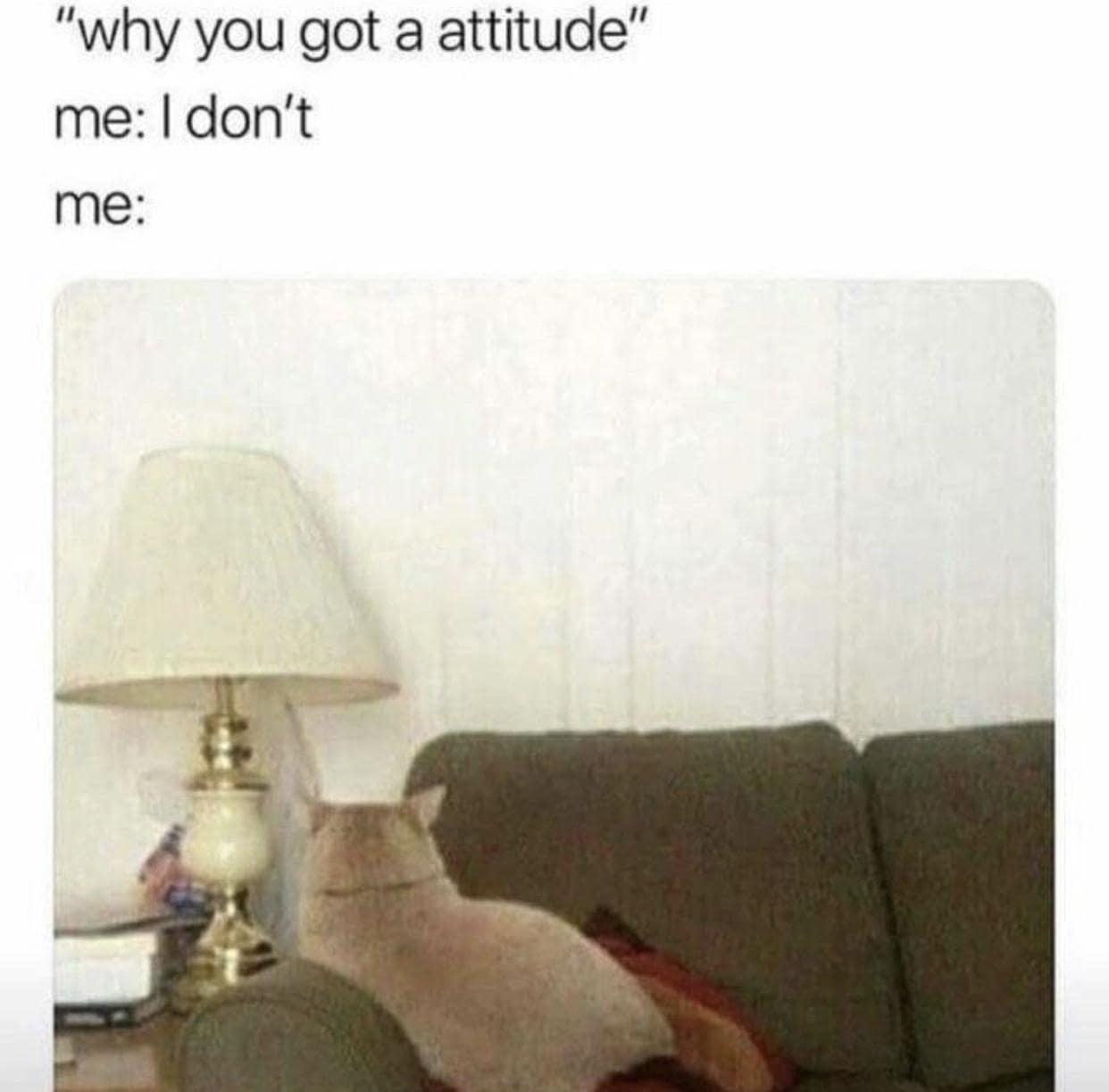 A passive-aggressive attitude classic meme showing a cat sitting on a living room sofa with its entire body turned around facing the wall under text denying having an attitude.
