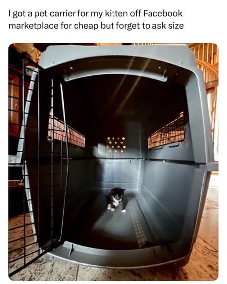 A tiny tuxedo kitten sitting virtually microscopic inside a massive dog crate purchased off Facebook Marketplace without checking the size specs.