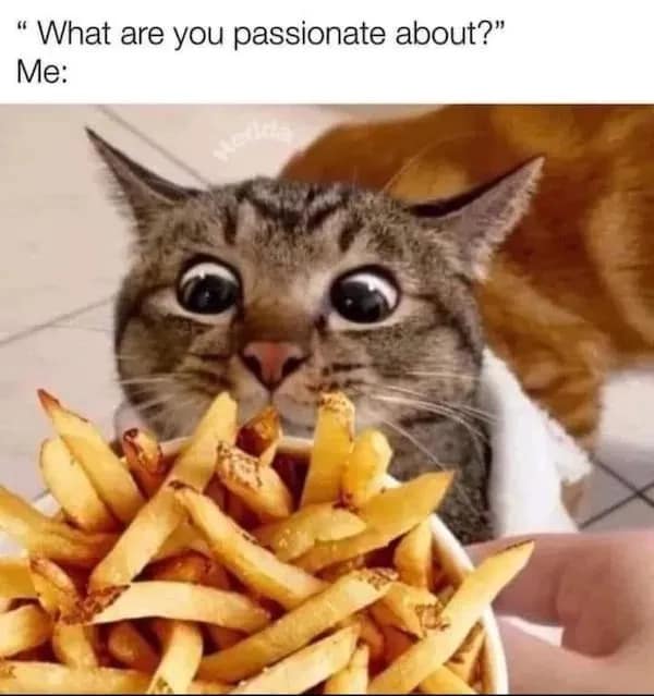 Wide-eyed tabby cat staring with total obsession at an overflowing basket of golden French fries, answering a question about personal passions.