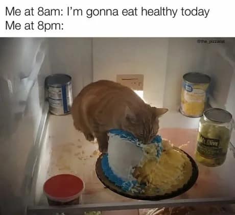 An orange cat face-plants directly into a birthday cake inside an open fridge, showcasing the complete breakdown of morning healthy eating promises by 8 PM in this vintage memes classic.
