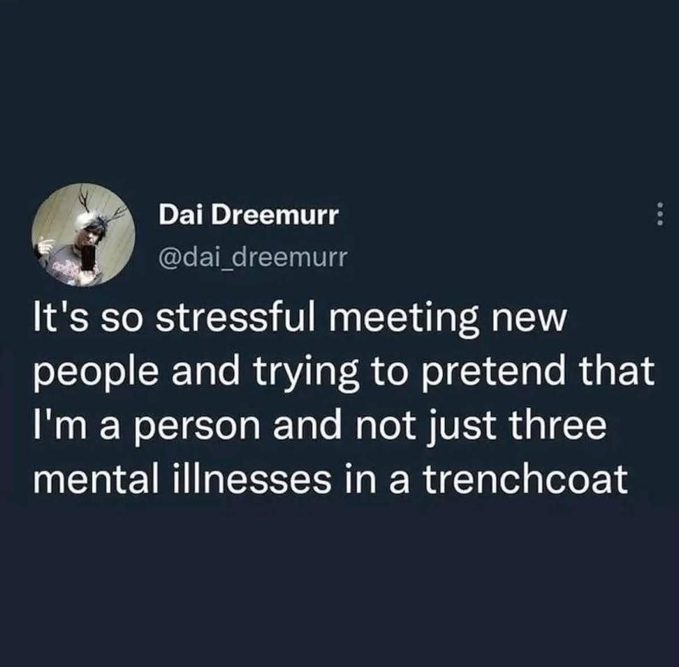 Text tweet describing social anxiety when meeting new people and attempting to pass as a functional adult instead of three mental illnesses in a trenchcoat.