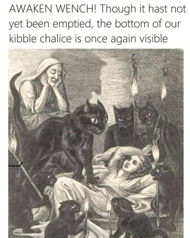 A classical art meme featuring a vintage etching of a sleeping woman surrounded by dark, wide-eyed cats holding lit torches, paired with text where a cat dramatically announces that the bottom of the kibble bowl has become visible.