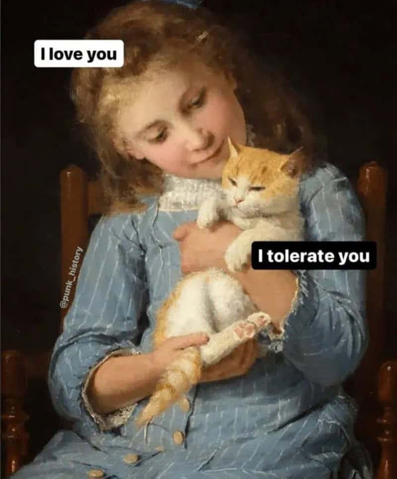 A pet affection classical art meme featuring a Victorian portrait of a little girl embracing a small orange cat, contrasting her love with the feline's unbothered tolerance.