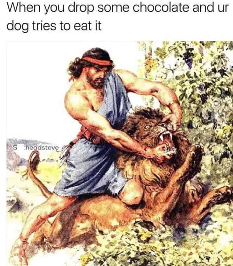 A pet-owner emergency classical art meme illustrating Samson physically wrestling open a lion's jaws to represent prying a piece of dropped chocolate out of a dog's mouth.
