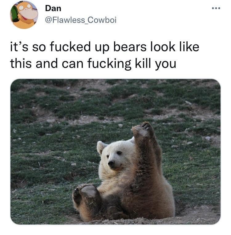 Photograph of a fluffy brown bear cub sitting on grass waving its paw at the camera, paired with a tweet about how deceivingly adorable dangerous wildlife looks.