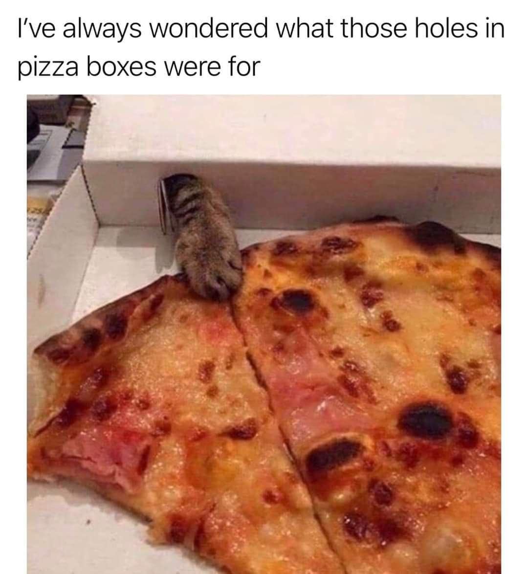 A furry cat paw reaching through the side ventilation hole of a cardboard takeaway box to touch a hot slice of pepperoni pizza.