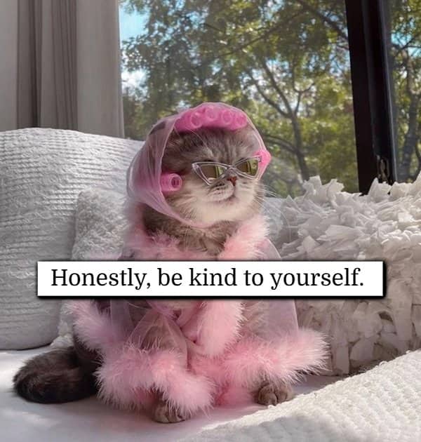 Fancy cat wearing pink robe and sunglasses with self care confidence hacks quote.