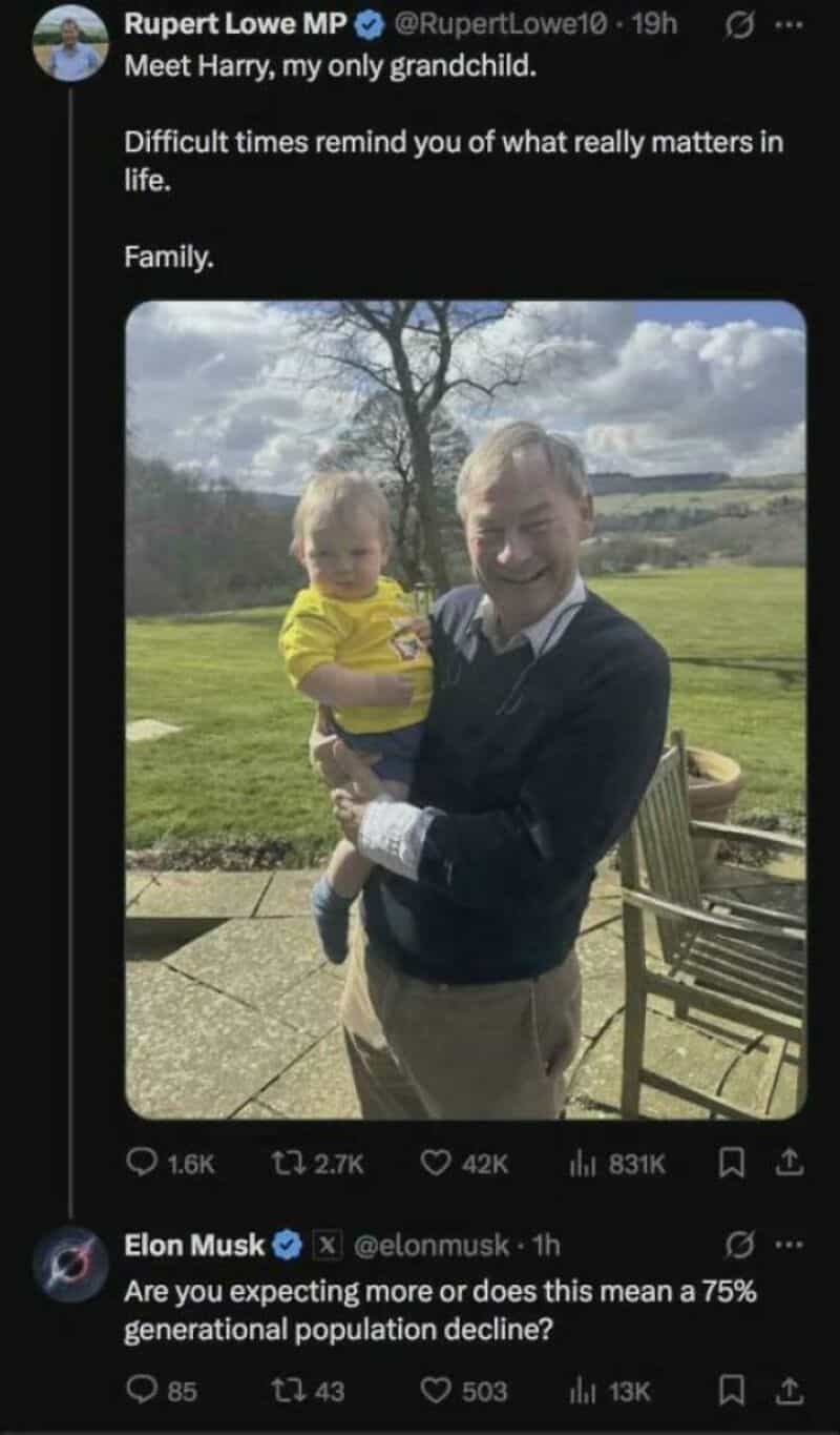 Screenshot of Rupert Lowe posting his grandchild with Elon Musk commenting on population decline.