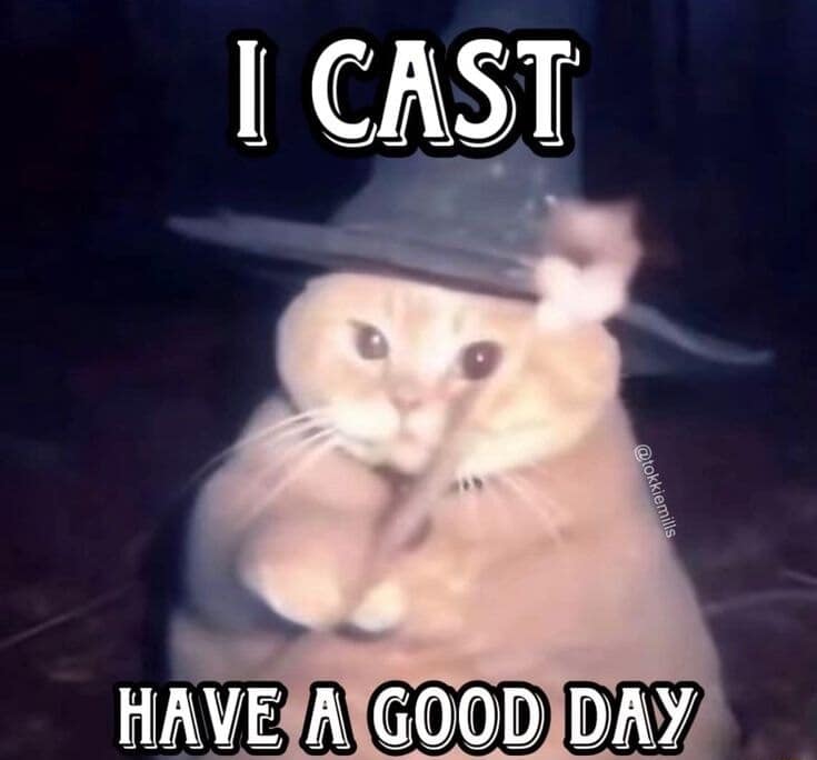Wholesome feline wizardry shines in this d&d meme where a round orange cat wearing a pointed black hat casts a spell to wish everyone a good day.