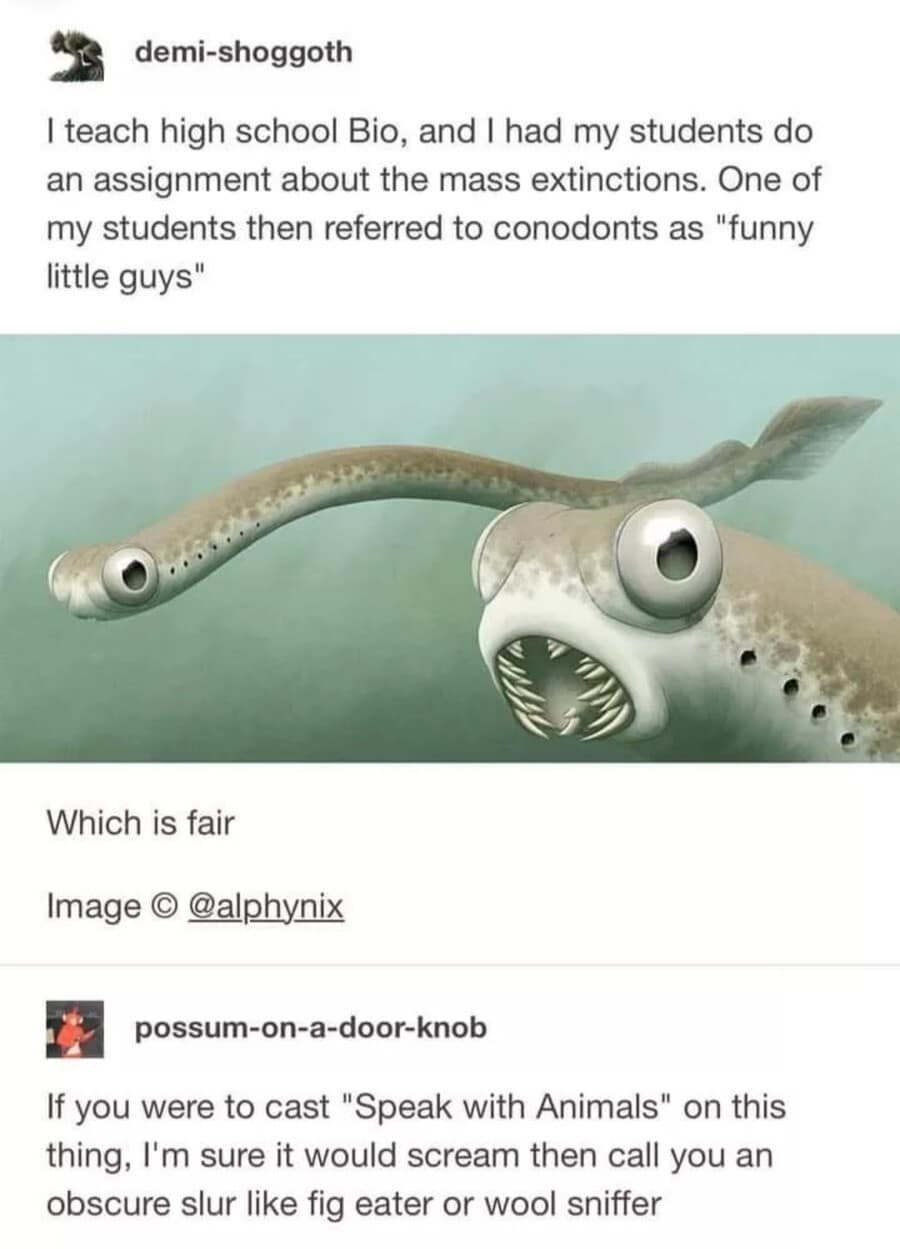 A prehistoric creature encounter d&d meme featuring a rendering of a conodont eel-like organism, joking that casting "Speak with Animals" on it would result in ancient, obscure slurs.