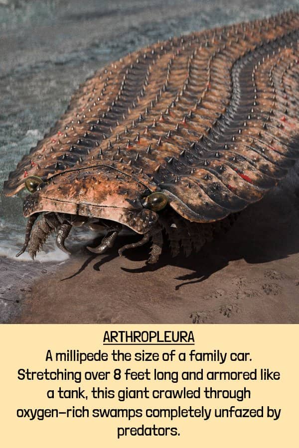 Realistic rendering of Arthropleura a massive eight-foot armored millipede crawling among prehistoric extinct animals.
