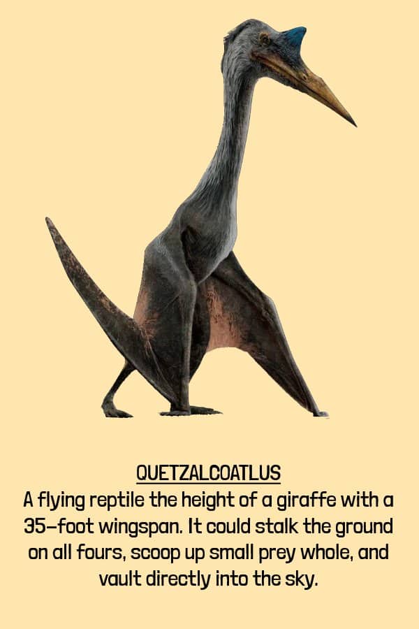 Rendering of Quetzalcoatlus a towering giraffe-sized flying reptile with a massive wingspan representing extinct animals.