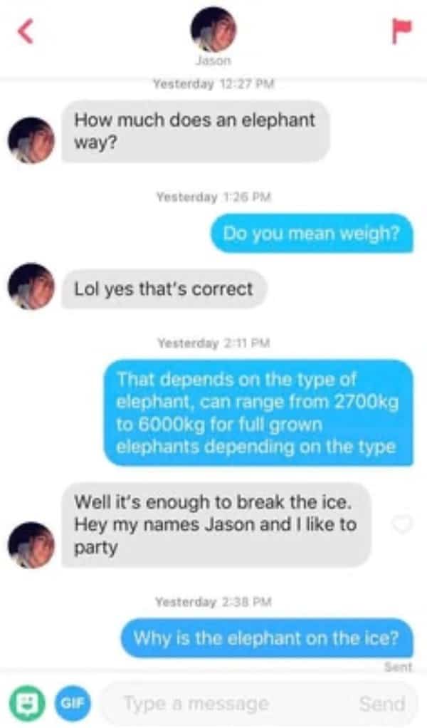 Flirty text fail screenshot showing an icebreaker joke ruined by factual elephant weight trivia.