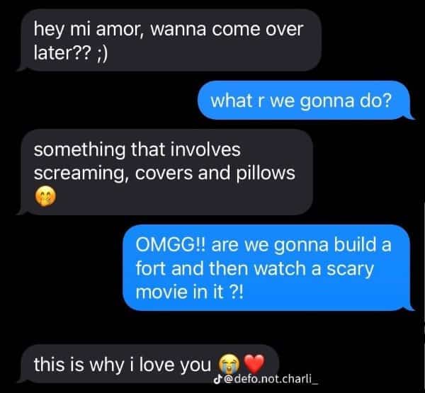 Wholesome flirty text fail where suggestive innuendo turns into excitement about building a blanket fort.