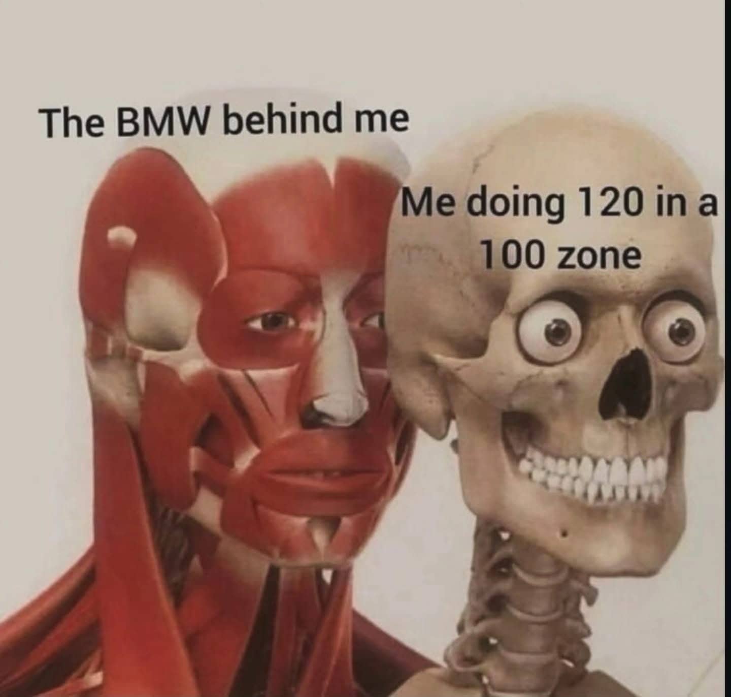 Anatomical muscle and skeleton figures in car driving tailgating speed limit funny memes.