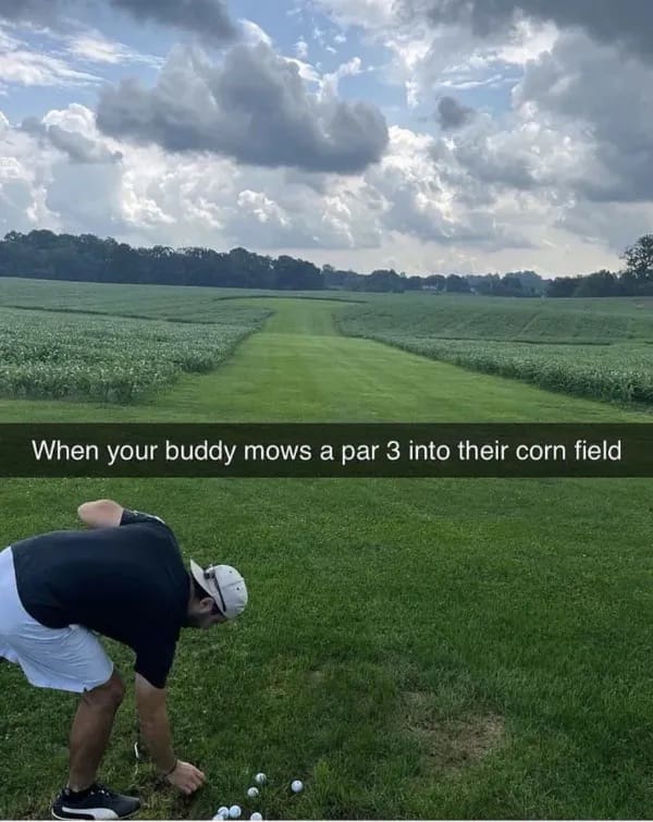 Man teeing off on golf fairway mowed through a green cornfield funny memes.