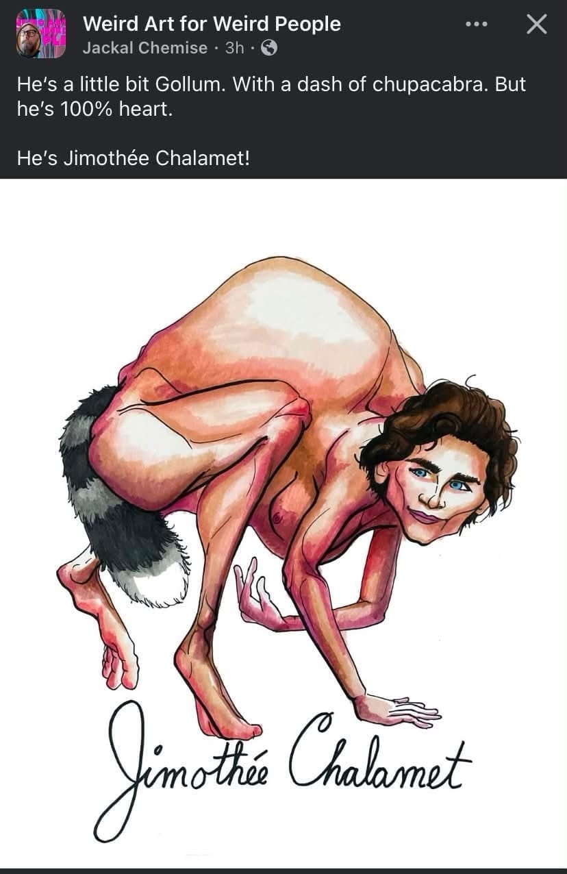Digital illustration of Timothée Chalamet as a hybrid creature funny memes.