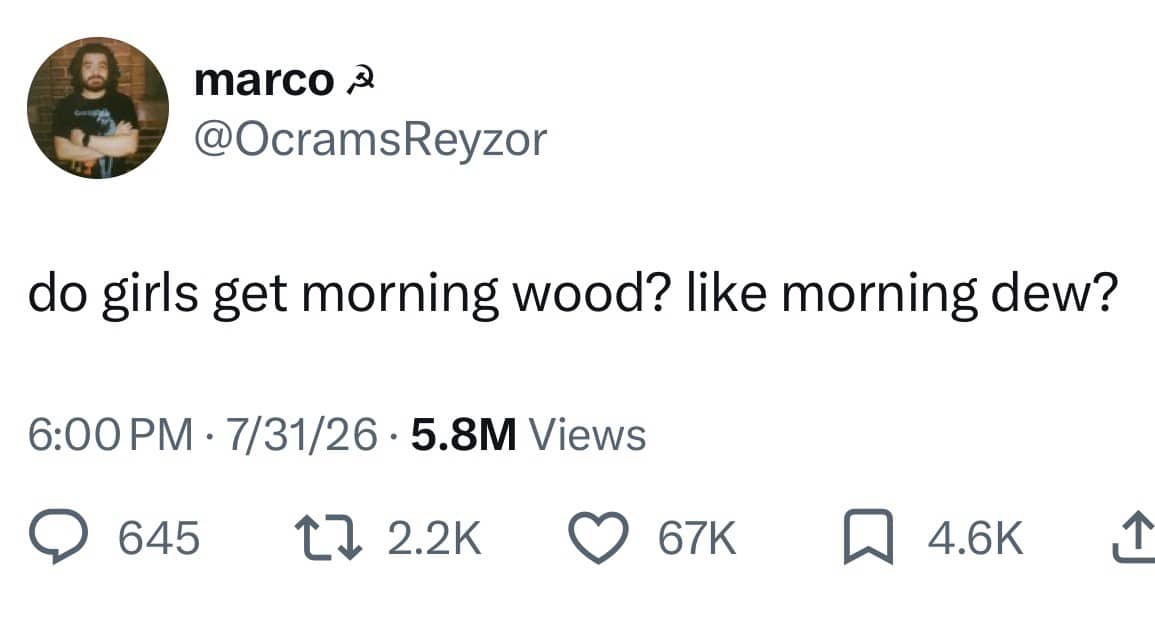 Social media post asking funny question about morning wood vs morning dew funny memes.