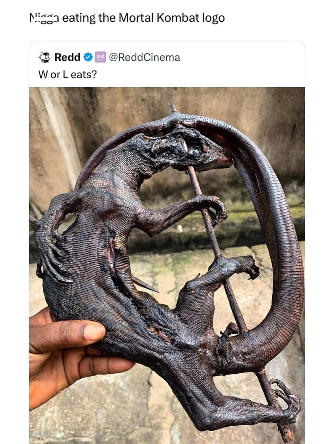 Hand holding a dried lizard coiled around a wooden stick resembling Mortal Kombat logo.
