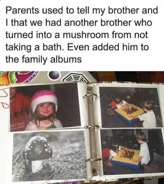 Family photo album containing a funny prank picture of a mushroom as a sibling.