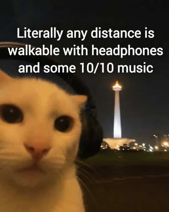 White cat wearing headphones walking at night with music caption funny memes.