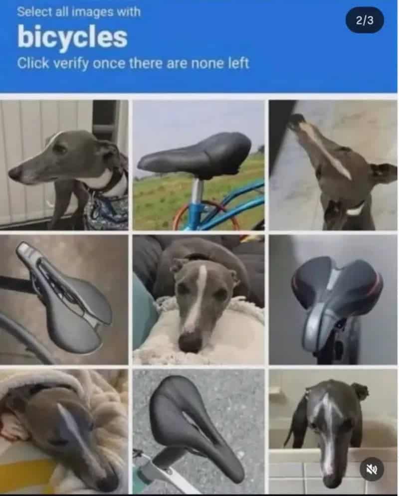 Funny memes captcha grid confusing greyhound dog heads with bicycle seats for verification.