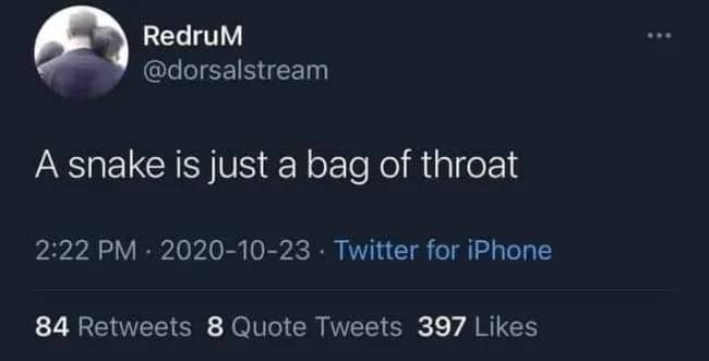 Funny memes screenshot showing humorous short tweet describing snake as bag of throat.