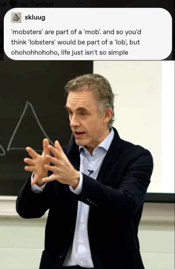 Jordan Peterson gesturing with text explaining funny memes logic about mobsters and lobsters.