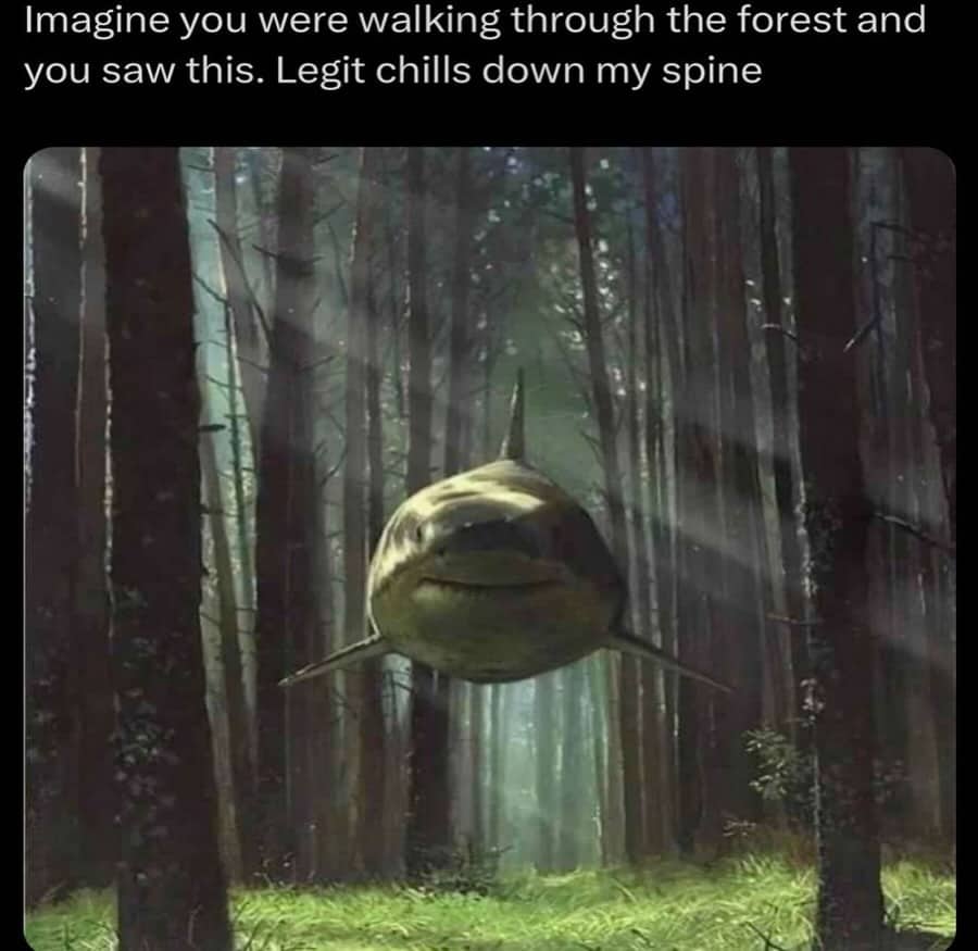 Great white shark floating through a dense forest path with creepy caption funny meme.