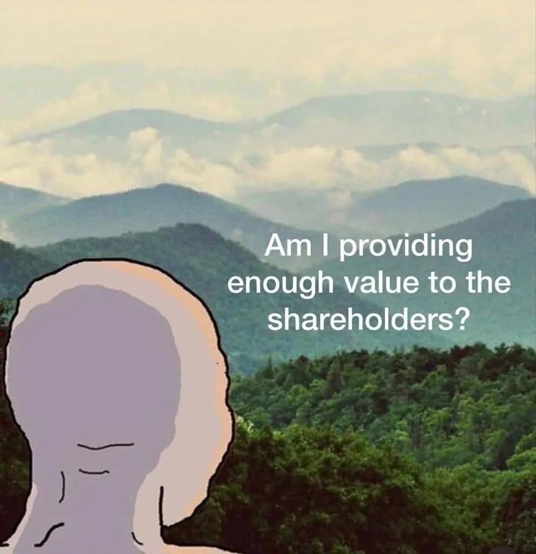 Relatable funny meme featuring a Wojak character staring at mountains thinking about shareholder value.