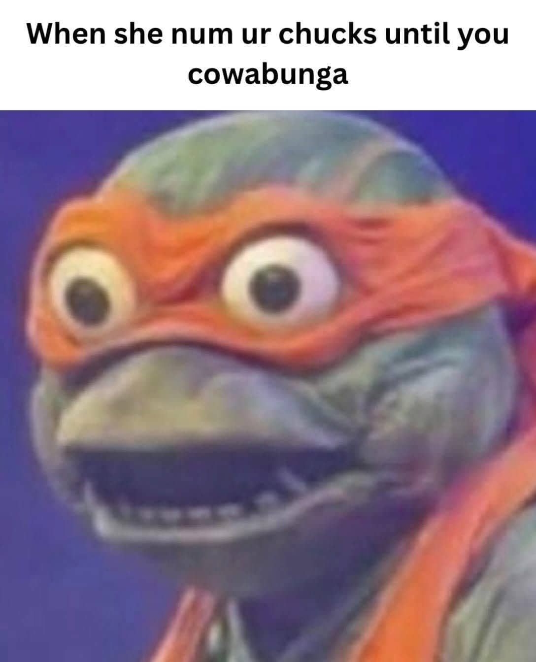 Close up of Michelangelo Ninja Turtle expression with humorous sexual caption, funny memes.