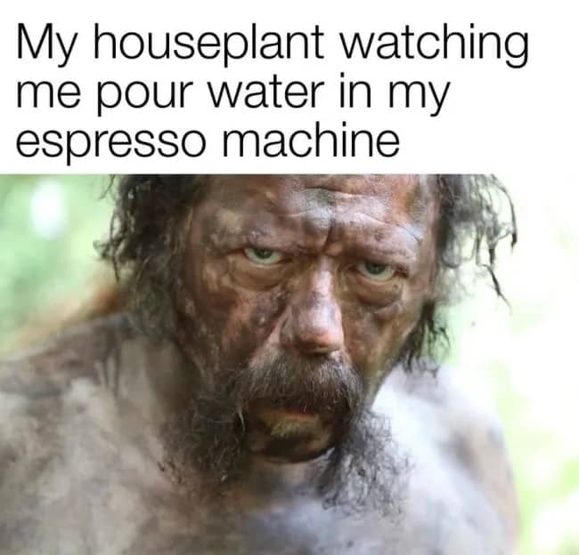 Dirty face man staring intently captioned as houseplant watching owner pour water into espresso machine.