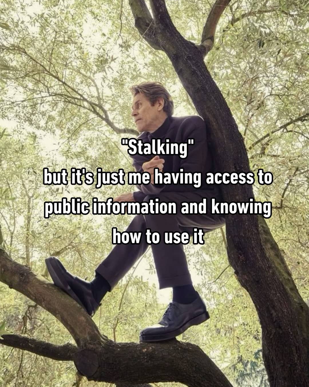 Willem Dafoe sitting in a tree captioned with a funny meme about internet research.