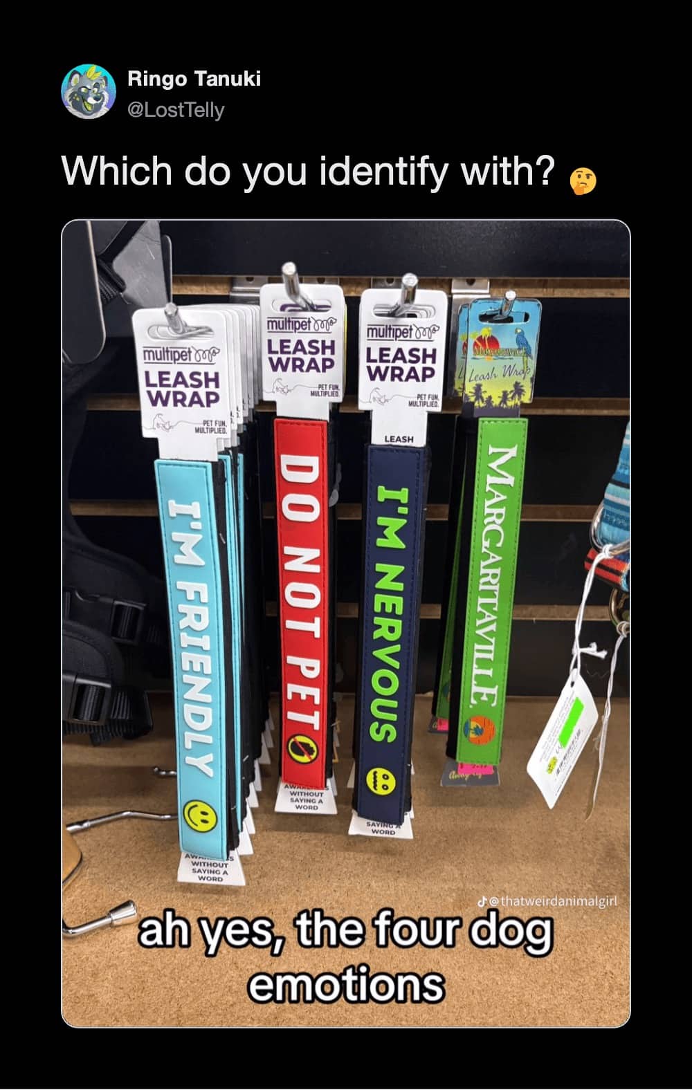 Pet store display showing different leash wraps styled as dog mood options, funny memes.