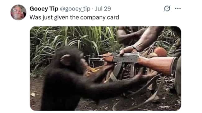 Chimpanzee holding an automatic rifle meme representing getting a corporate company card