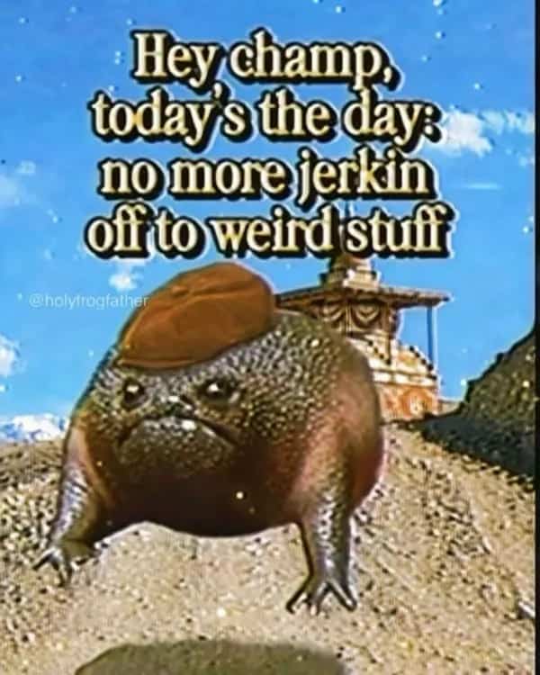 Funny meme featuring a grumpy frog wearing a cap on a dusty path with text.