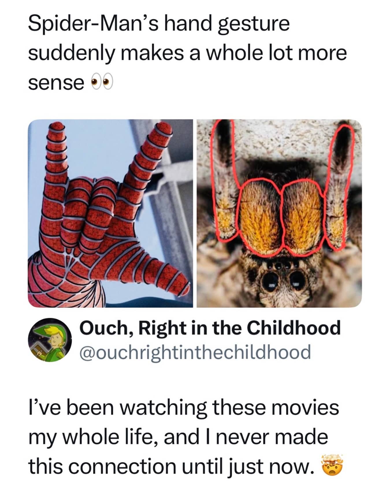 Comparison image linking Spider-Man web shooting hand gesture to the underside anatomy of a spider.
