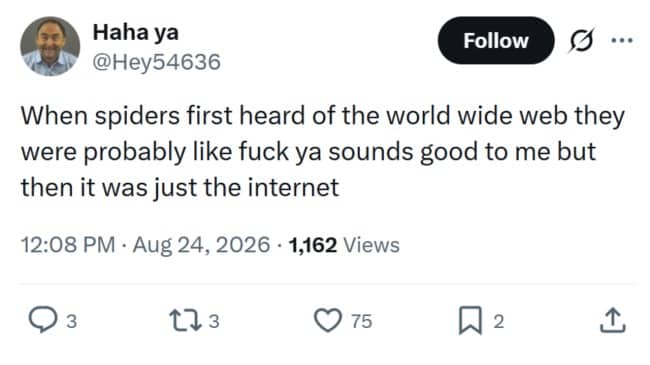 Humor post on Twitter about spiders being disappointed by the world wide web.