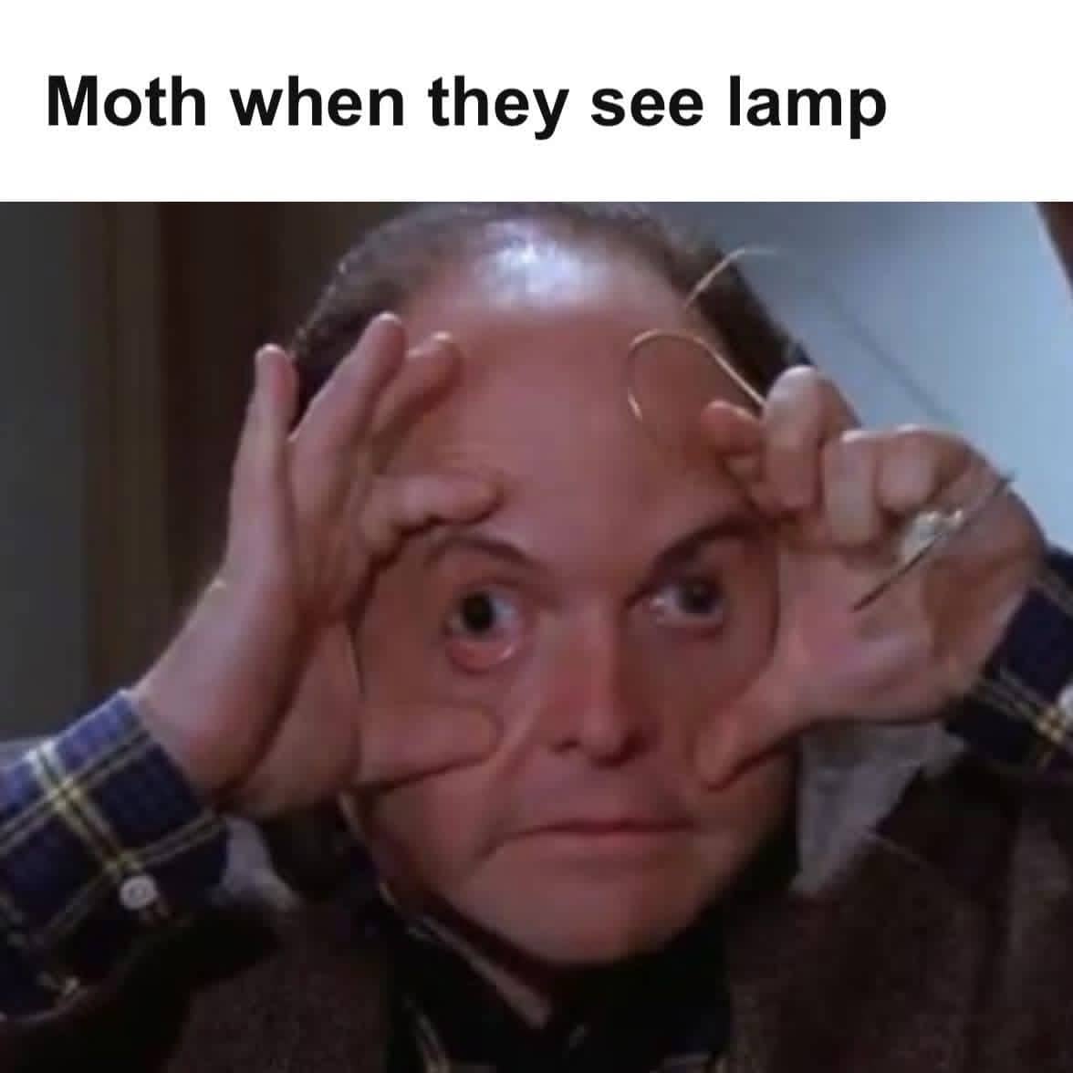 George Costanza holding eyes wide open meme captioned as moth when they see lamp.