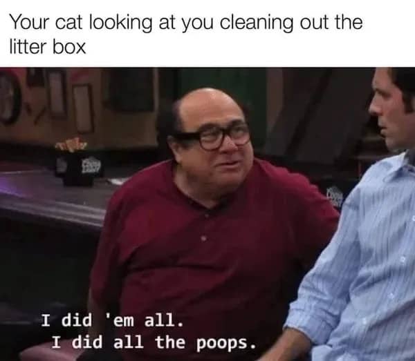 Frank Reynolds from Always Sunny speaking meme captioned as cat looking at cleaned litter box.