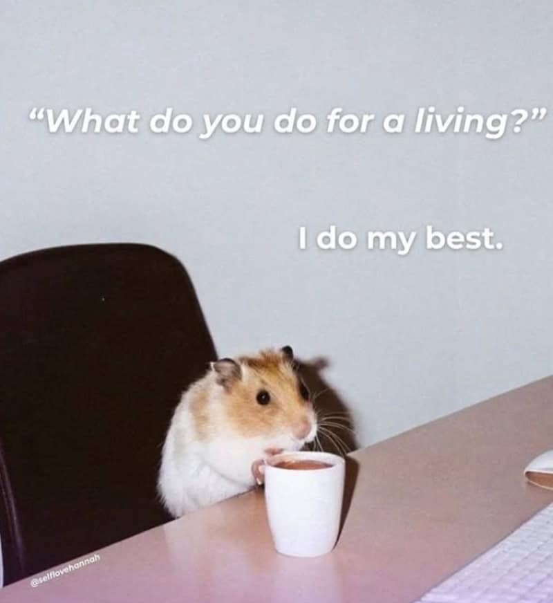 An adorable office hamster funny work meme sitting at a desk holding a tiny coffee mug under text answering "I do my best" when asked what it does for a living.