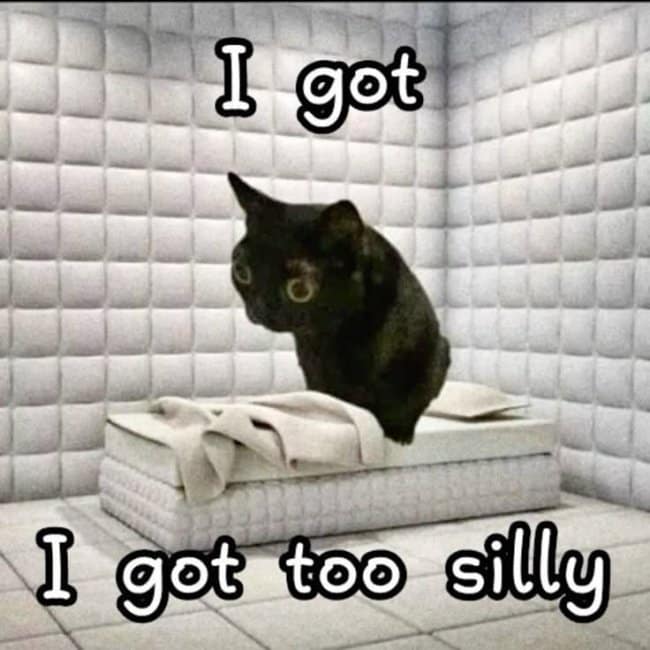 A padded asylum cell image acting as a hangover meme where a wide-eyed black cat sits on a mattress under text reading "I got I got too silly."