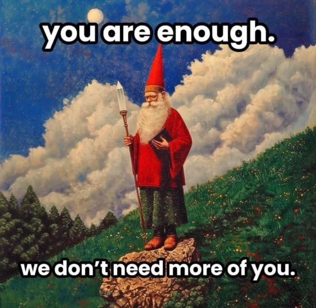 A backhanded affirmation hangover meme featuring a gnome wizard holding a staff on a grassy peak under text reading "you are enough. we don't need more of you."
