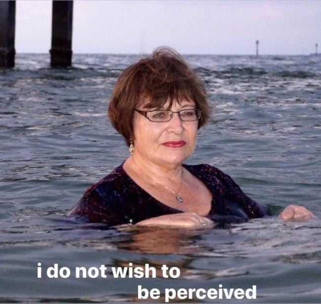 An antisocial isolation hangover meme showing an older woman with glasses standing shoulder-deep in ocean water with an unbothered expression, captioned "i do not wish to be perceived."