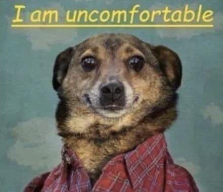 An awkward social situation hangover meme showing a dog dressed in a red plaid shirt with an uncomfortable, forced human smile, captioned "I am uncomfortable."