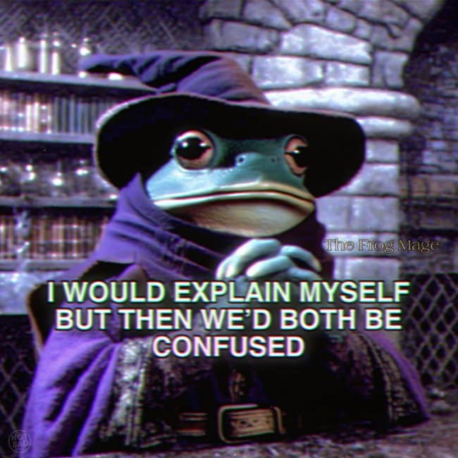 A fantasy wizard wisdom hangover meme showing the Frog Mage in a purple wizard hat in his lab, captioned "I WOULD EXPLAIN MYSELF BUT THEN WE'D BOTH BE CONFUSED."