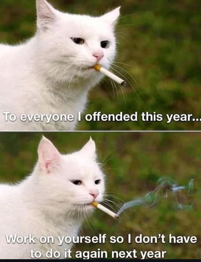 Apology subversion hangover meme featuring a white cat smoking a cigarette, addressing everyone it offended by telling them to work on themselves.